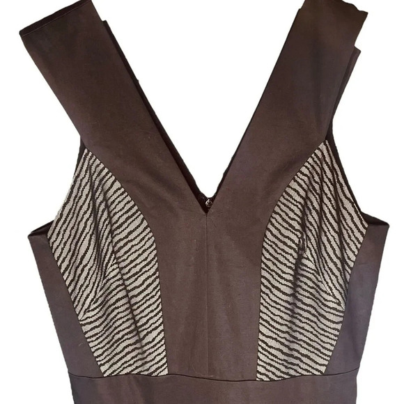 Robert Rodriguez Zebra Stripe Lace Sleeveless Flared Dress - Picture 4 of 14